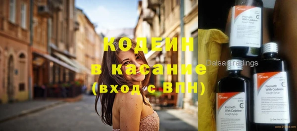 ГАЛЛЮЦИНОГЕННЫЕ ГРИБЫ Михайлов