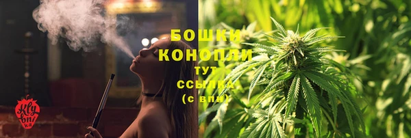шишки Михайловка
