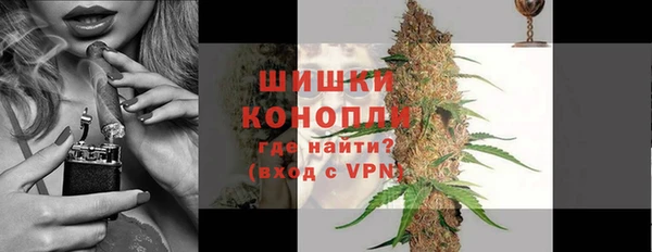ГАЛЛЮЦИНОГЕННЫЕ ГРИБЫ Михайлов