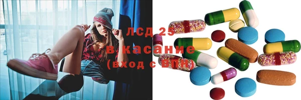 ГАЛЛЮЦИНОГЕННЫЕ ГРИБЫ Михайлов
