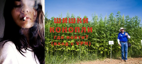 шишки Михайловка