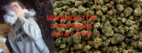 спиды Губаха