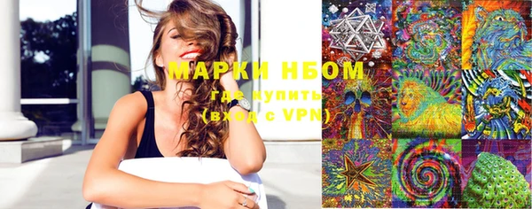 хмурый Грязовец