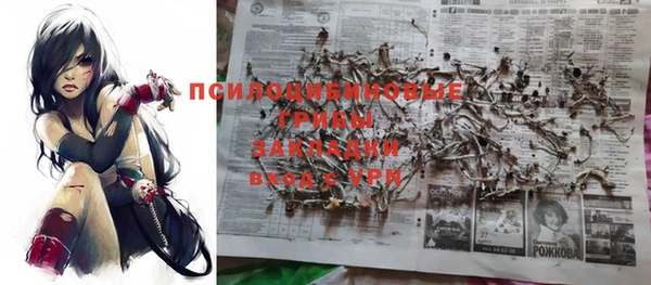 стаф Грязи