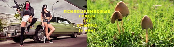 ГАЛЛЮЦИНОГЕННЫЕ ГРИБЫ Михайлов