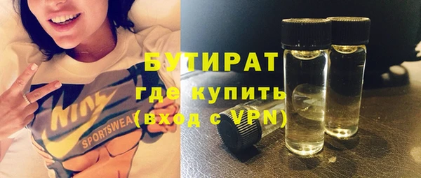 прущие грибы Гатчина