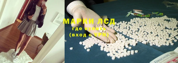 ГАЛЛЮЦИНОГЕННЫЕ ГРИБЫ Михайлов