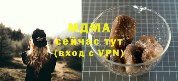 ГАЛЛЮЦИНОГЕННЫЕ ГРИБЫ Михайлов